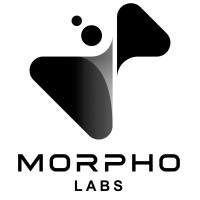 ░▒ Morpho Labs ▒█⚛️ logo - Similar company to Proper Propaganda