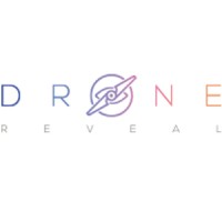 DRONE REVEAL logo - Similar company to Drone Globe