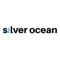 Silver Ocean Advisory logo - Similar company to Gna Group