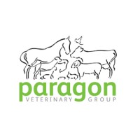 Paragon Veterinary Group logo - Similar company to Fireflyapps Ltd
