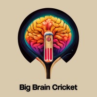 Big Brain Cricket logo - Similar company to Power Cricket Network