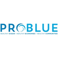PROBLUE logo - Similar company to Problue Consulting Services