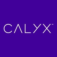 LIQUENT, a Calyx Company logo - Similar company to Queri Ai