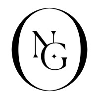 Novel Grey logo - Similar company to Vij5