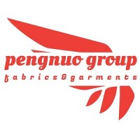 PENGNUO GROUP logo - Similar company to Pengnuo Group
