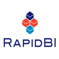 RapidBI logo - Similar company to Cause + Effect Strategy