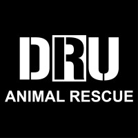 Deathrow Unchained Animal Rescue logo - Similar company to My Independent Abilities