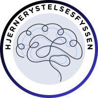 Hjernerystelsesfyssen logo - Similar company to Aftenskolen Pas På Hovedet