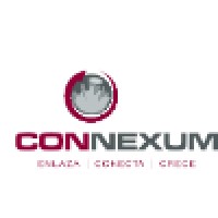 Connexum Sonora logo - Similar company to Connexum