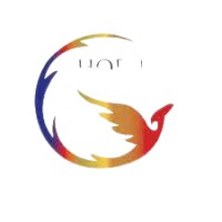 Phoenix Alliance Group logo - Similar company to Shane Swartz Accounting Services Cc