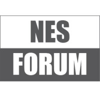 NE Syria INGO Forum logo - Similar company to Nes Ngo Forum