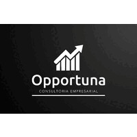 Opportuna Consultoria Empresarial logo - Similar company to Escolha Correta