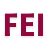 Feisworld Media logo - Similar company to Digital Kairoi