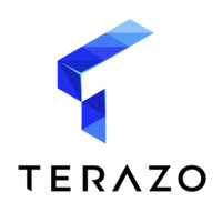 Terazo logo - Similar company to Terazo (Acquired By Zennify)