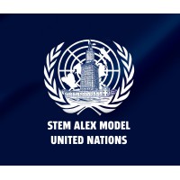 STEM Alex Model United Nations logo - Similar company to Techno Map