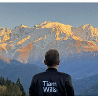 Tiam Wills logo - Similar company to Holumis, Luxury Coachings And Trainings