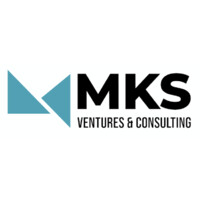 MKS Ventures & Consulting logo - Similar company to Teconomy Partners