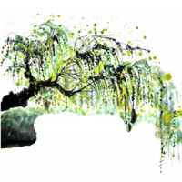 WillowTree Mental Health logo - Similar company to Doctors Care Colorado