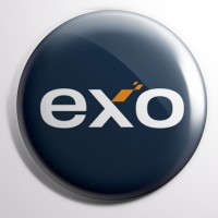 ExO HK logo - Similar company to L.W.S. Consulting 睿智顧問