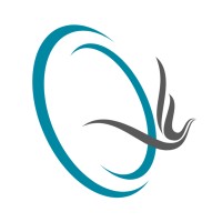 Skyring Metals FZE logo - Similar company to Alz Technical Dmcc