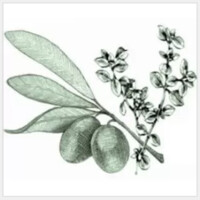 Olive Thyme Turkish Cuisine logo - Similar company to Rydges Parramatta