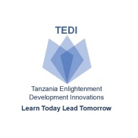 TEDI Tanzania logo - Similar company to Binary Tree