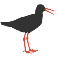 Brouwerij Tureluur