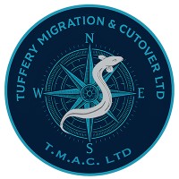Tuffery Migration and Cutover Ltd logo - Similar company to Gravity It