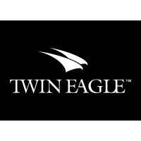 Twin Eagle logo - Similar company to Twin Eagle Solutions