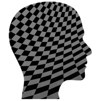 The Chess School