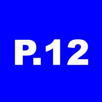 Project 12 logo - Similar company to Megabit Games