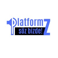 Platform Z logo - Similar company to Z - Gen