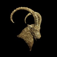 IBEX Collection logo - Similar company to Bhatti Biryani
