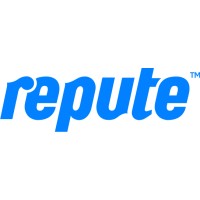 Repute Infotech and Enterprises Limited logo - Similar company to A-Cube (Alpha Ace Academy)Software Training Institute