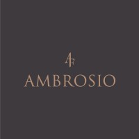 AMBROSIO OLBIA FLY SHOP S.R.L. logo - Similar company to Stel Srl