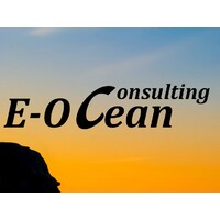E-Ocean logo - Similar company to Wavetech