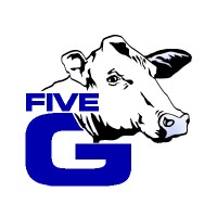 Five-G Consulting, Inc. logo - Similar company to 4Dbarn