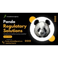 Panda Regulatory Solutions logo - Similar company to Luxe Italia