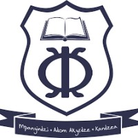 Nduom School of Business and Technology logo - Similar company to Silicon Valley Technology Partners
