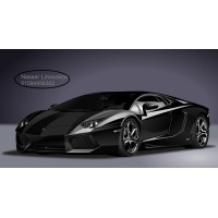 Limousine nassar logo - Similar company to Fighter Real Estate
