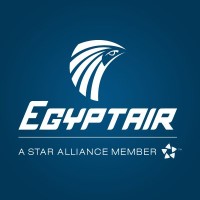 EgyptAir India logo - Similar company to Link Aerospace