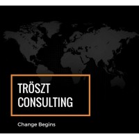 Tröszt Consulting, S.C. logo - Similar company to Digesto