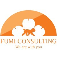Fumi Consulting logo - Similar company to Mind-Verse