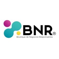 BNR Boutique de Negocios Responsables logo - Similar company to Dbs Soluciones Ambientales