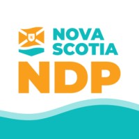 NSNDP logo - Similar company to Consulate Of Tech Solutions