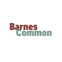 Barnes Common logo - Similar company to Ososim