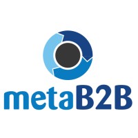 MetaB2B logo - Similar company to Terraspaces
