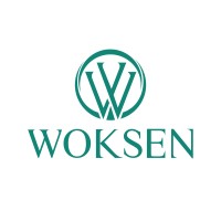 Woksen logo - Similar company to Skaktech