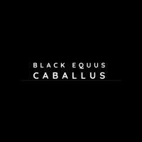 Black Equus Caballus logo - Similar company to The Yasir Hashmi Show