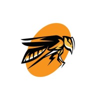 ShadowHornet Strategic Advisors logo - Similar company to Palmetto Equity Group